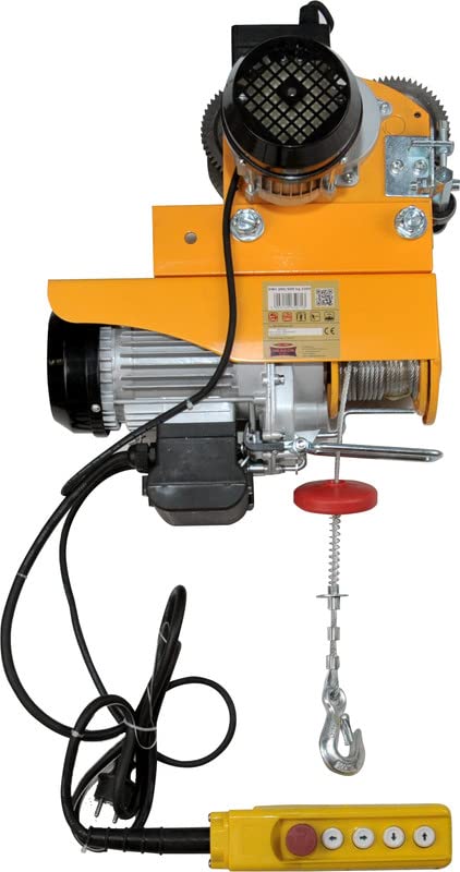 Dragon Winch Polipasto eléctrico 300/600 kg + Carretilla Eléctrica | con altura de...